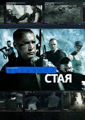 Сериал Позывной Стая 1 Сезон все серии подряд (2013)