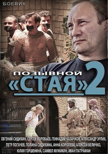 Сериал Позывной Стая 2 Сезон все серии подряд (2014)