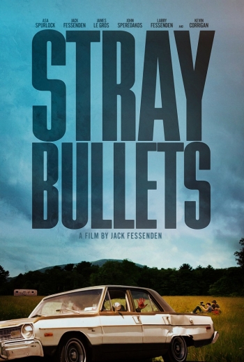 Фильм Шальные пули / Stray Bullets (2016)