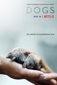 Документальный сериал Собаки все серии подряд / Dogs (2018)