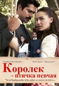 Сериал Королек - птичка певчая / Calikusu (2013)