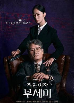 Госпожа Инкогнито / Хорошая женщина Бу Се Ми (2025)