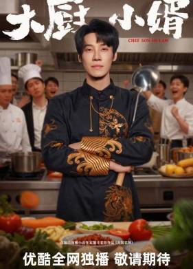 Сериал Зять шеф-повар (2025)