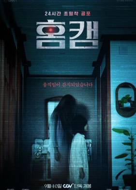 Домашняя камера (2025)